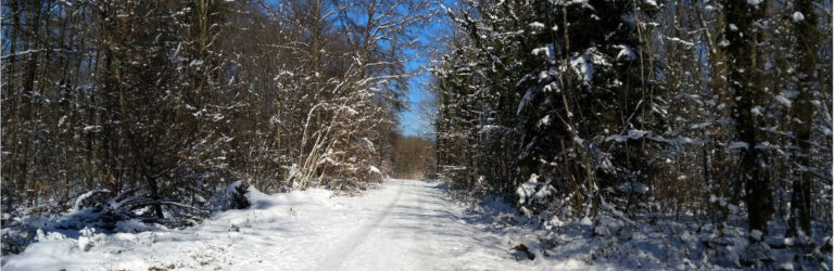 Roman-Tagebuch Teil 4