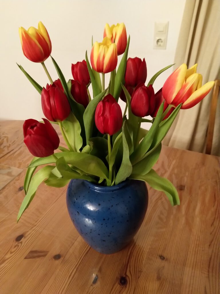 Roman-Tagebuch Teil 5