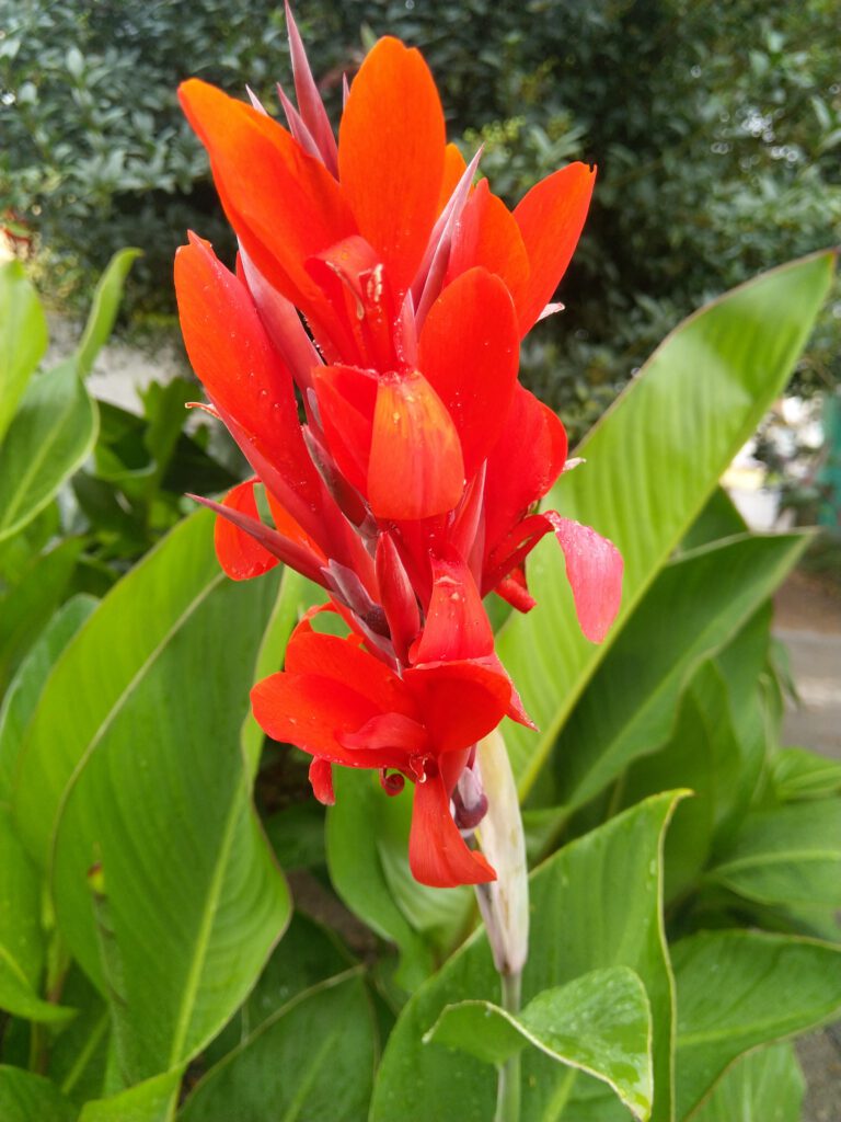 Roman-Tagebuch Teil 1