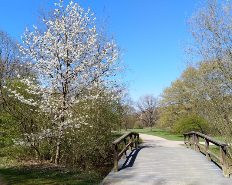 Roman-Tagebuch Teil 11