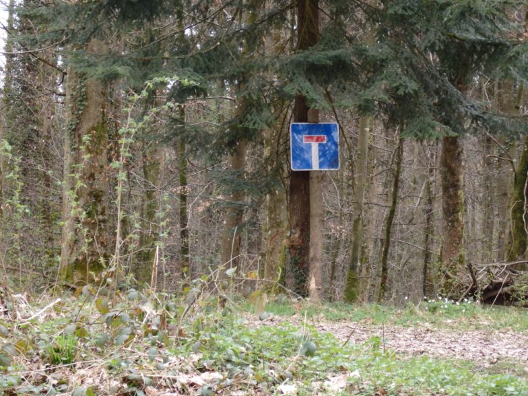 Roman-Tagebuch Teil 14