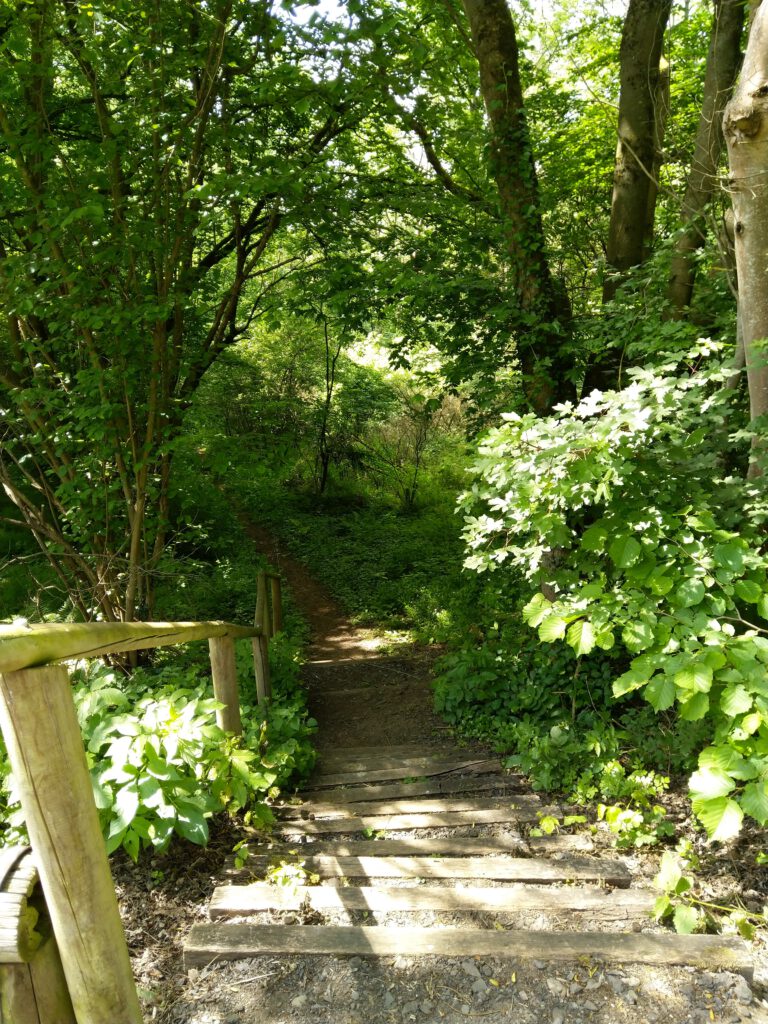 Roman-Tagebuch Teil 16