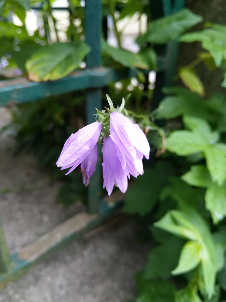 Roman-Tagebuch Teil 19