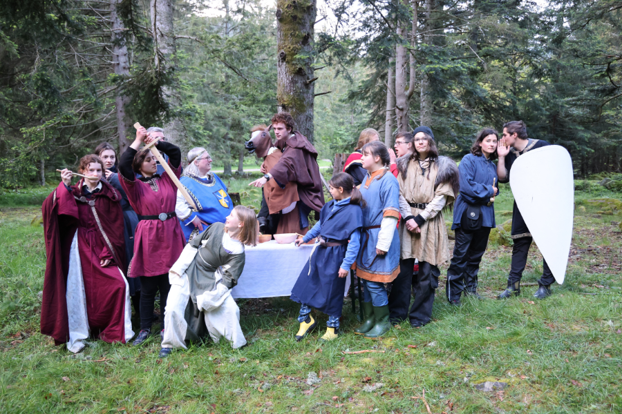 Zu sehen sind 15 Schauspieer unterschiedlichen Alters in mittelalterlicher Gewandung, mit Schwertern und weißem Schild, die ein actiongeladenes Standbild zeigen.