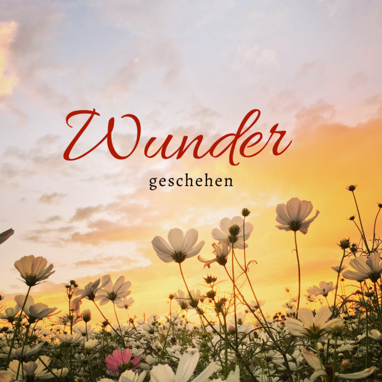 Wunder geschehen – manchmal schneller, als wir denken