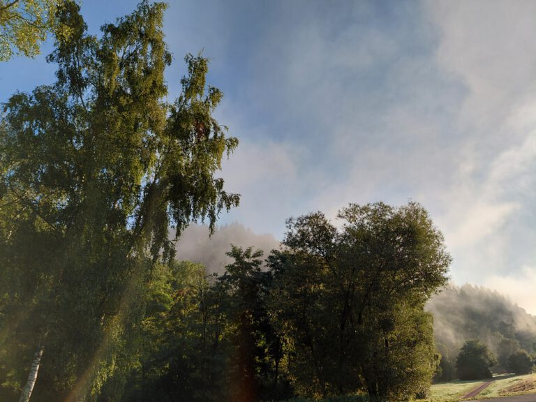 Monats-Rückblick August 2025: Von Teamwork bis Dreamwork