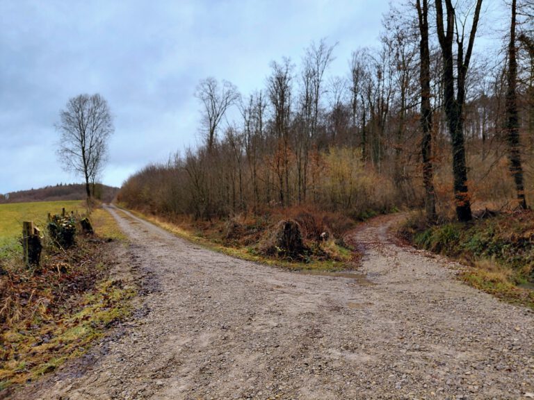 Wenn Entlastung nicht sofort trägt