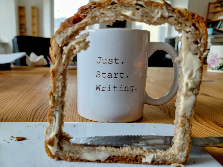 12 von 12 Februar 2026