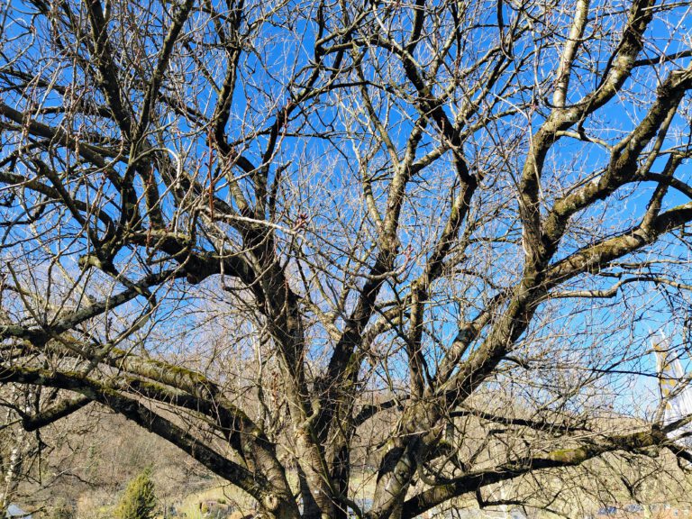 Blog, Bösewichte und Beten