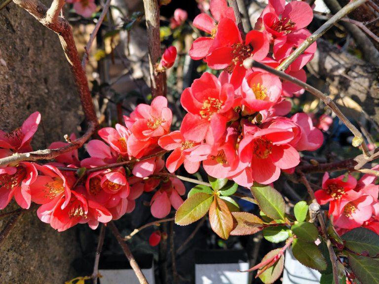 12 von 12 im März 2026