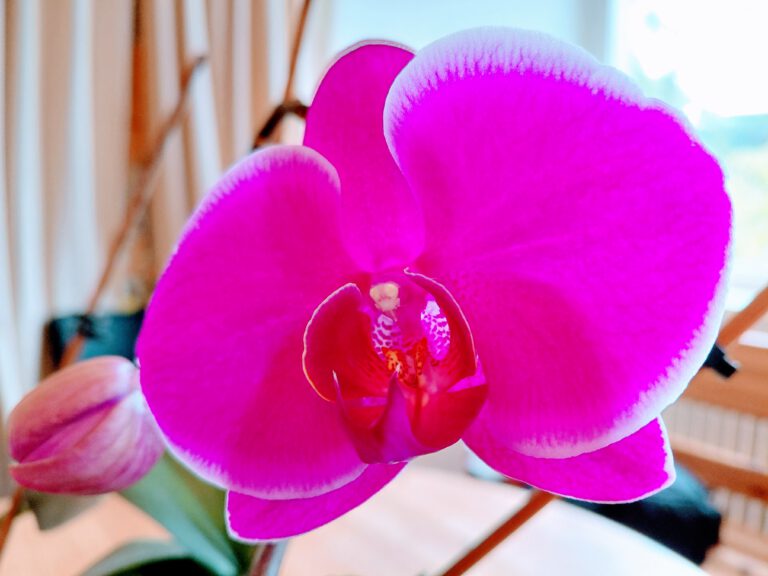 12 von 12 im April 2026