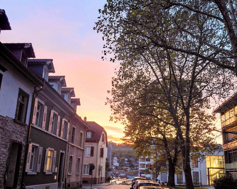 Arzttermine, Alltagschaos, Notaufnahme